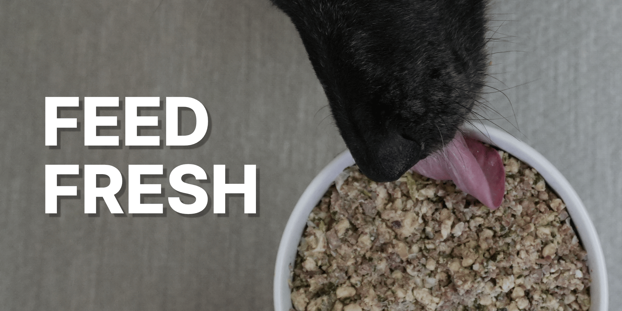 FEED FRESH