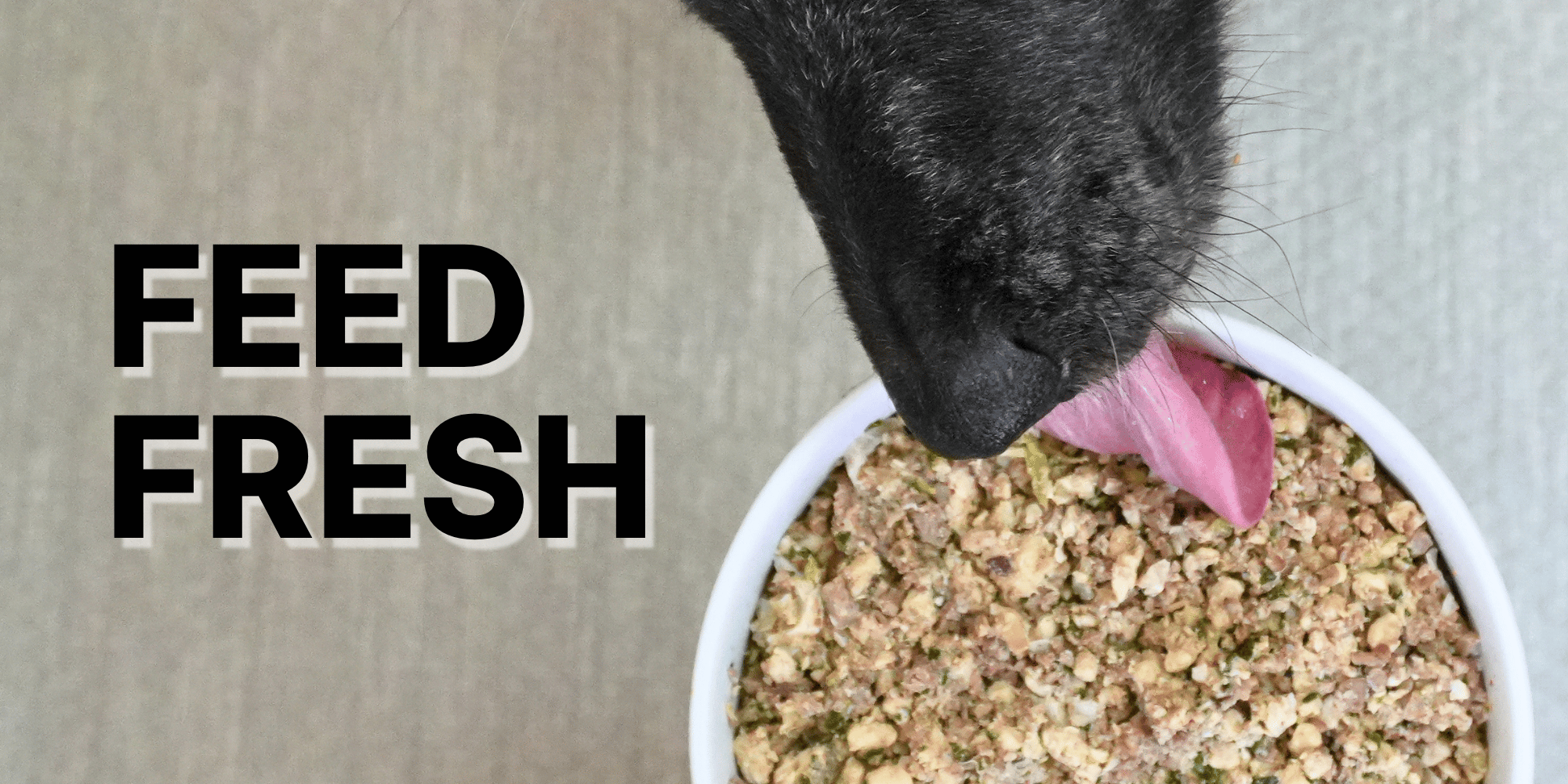 FEED FRESH