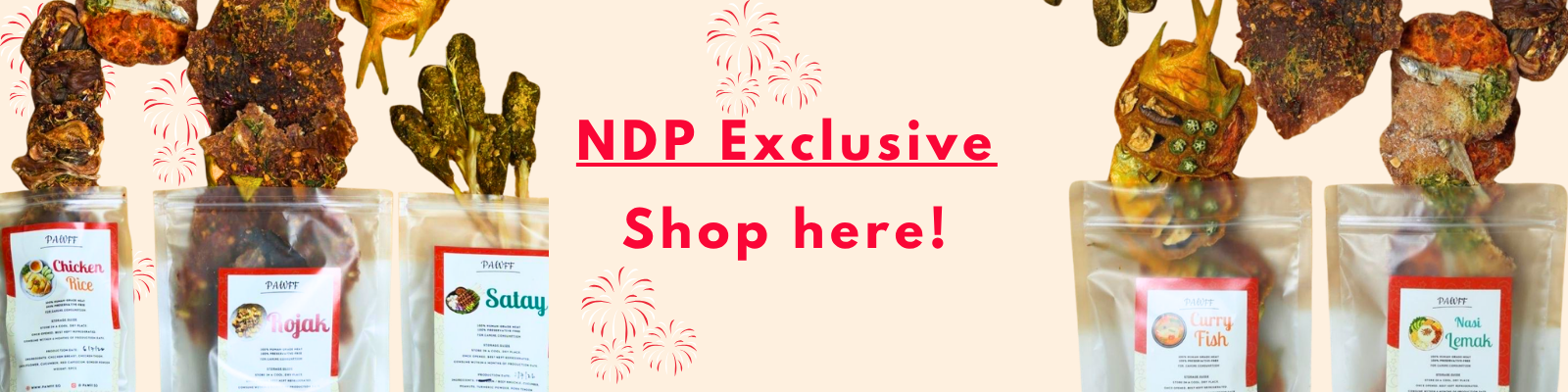 NDP2026