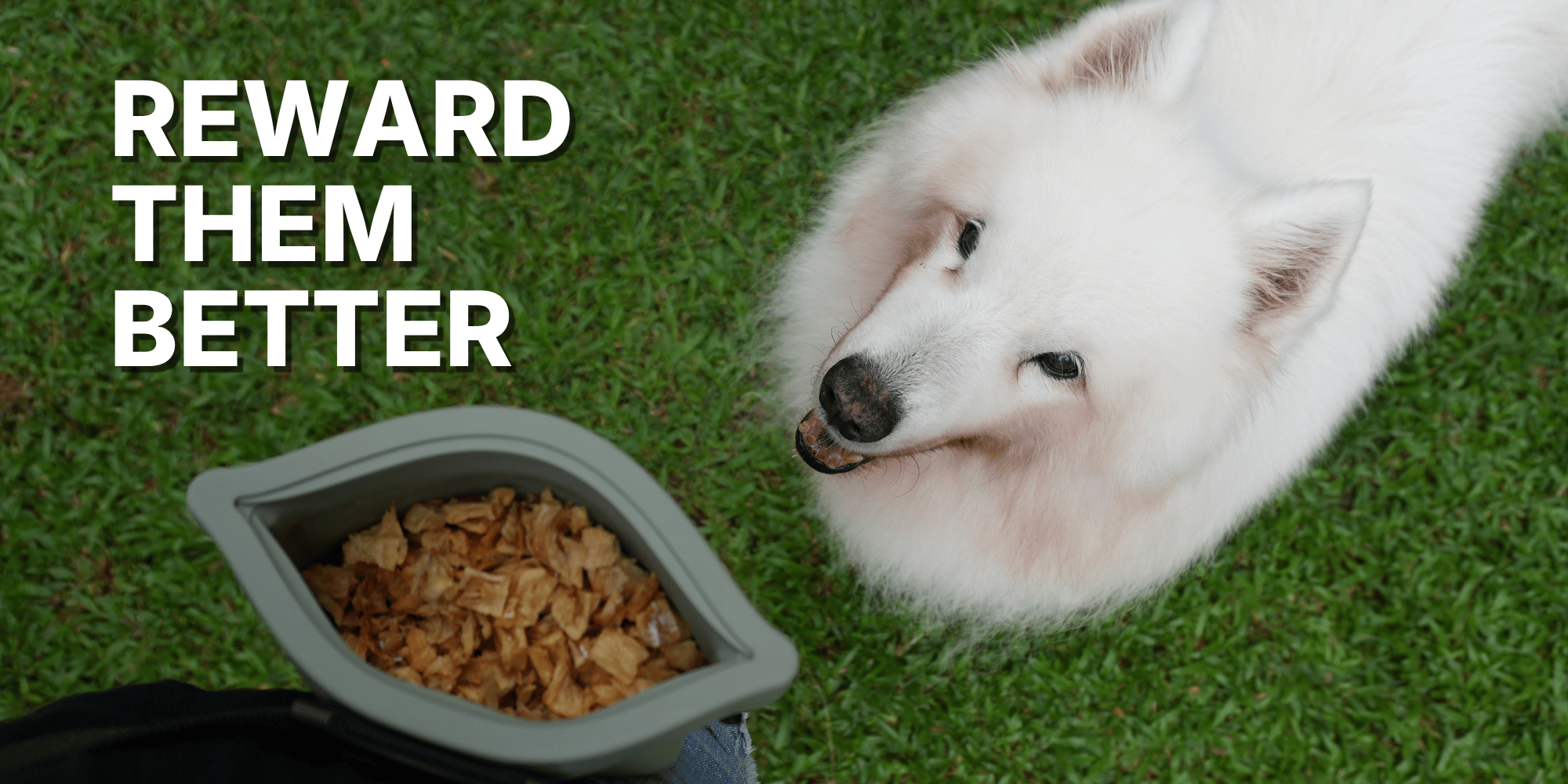 REWARD THEM BETTER