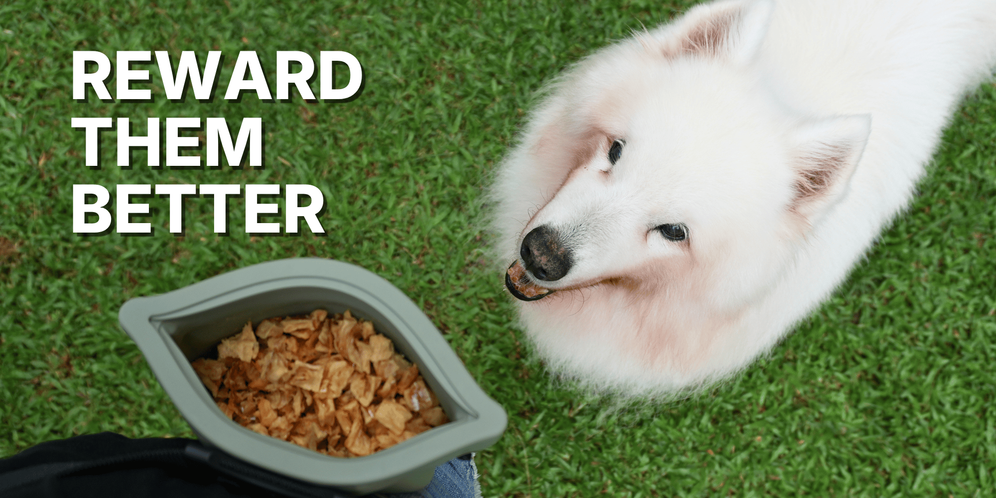 REWARD THEM BETTER