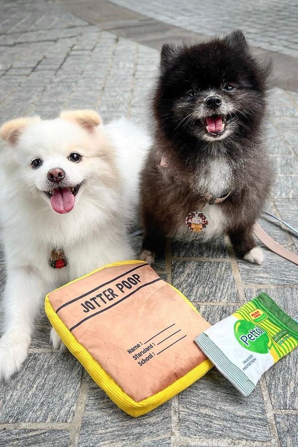 Jotter Poop Toy