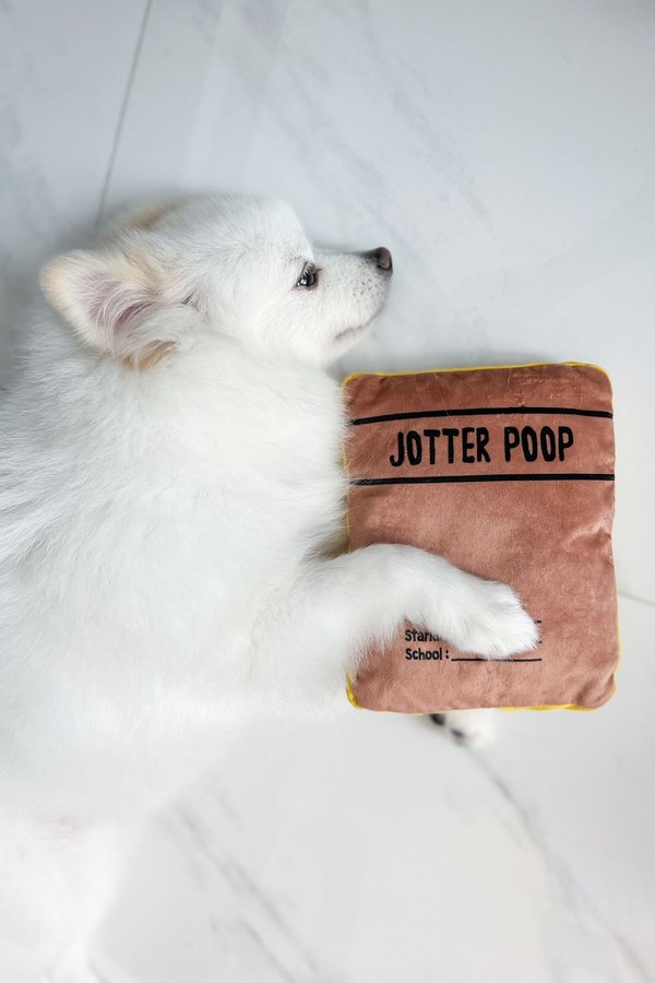 Jotter Poop Toy
