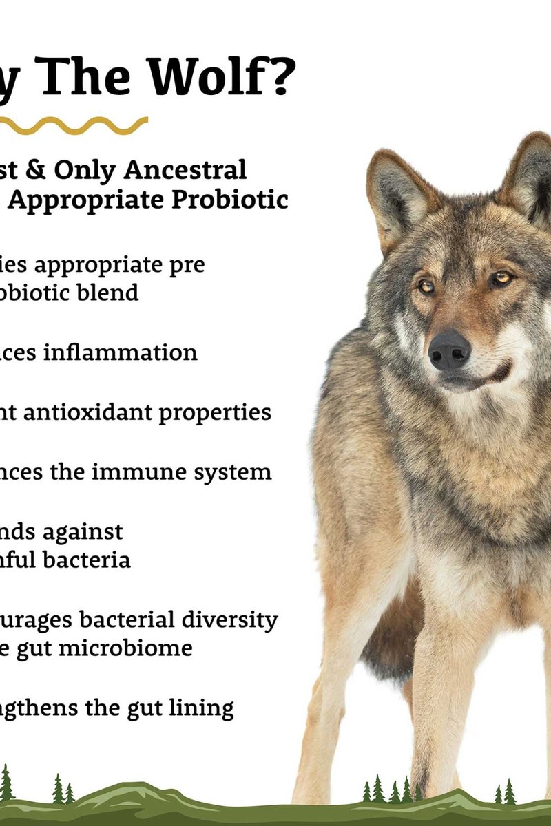 The Wolf | Species Appropriate Probiotic