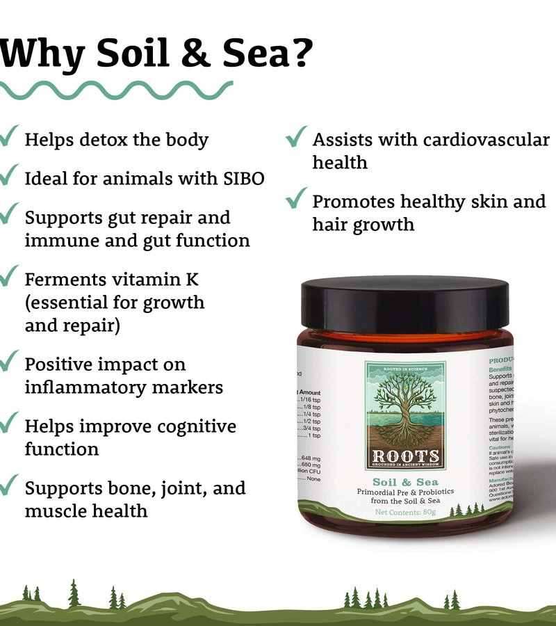 Soil & Sea | Primordial Pre & Probiotics (2 Sizes)