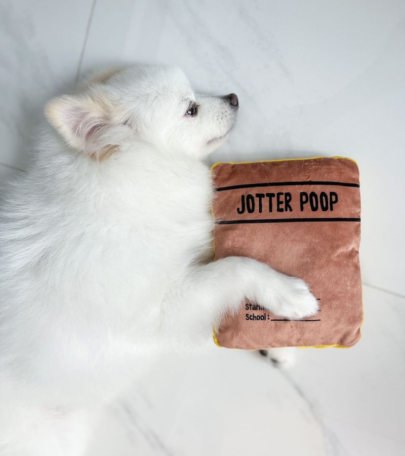 Jotter Poop toy