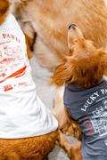 ZHD x PAWFF PET TEE