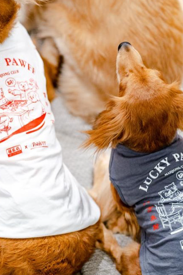 ZHD x PAWFF PET TEE