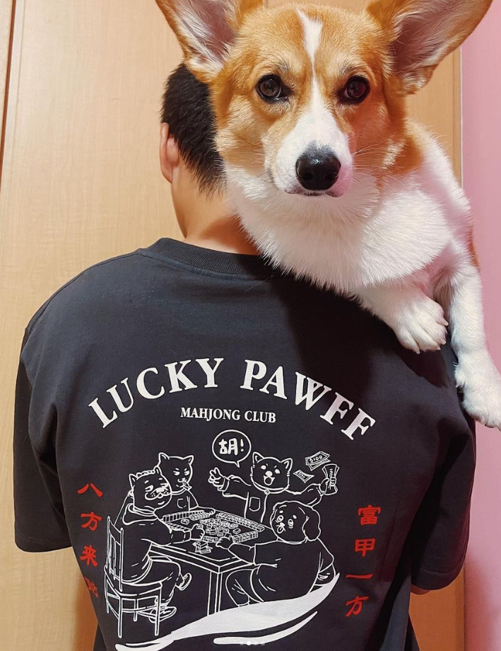 ZHD X PAWFF Short Sleeve Tee
