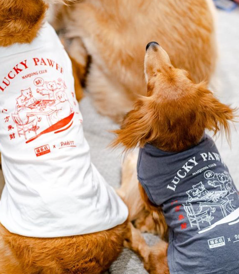 ZHD x PAWFF PET TEE