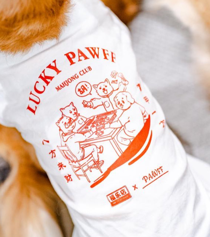 ZHD x PAWFF PET TEE