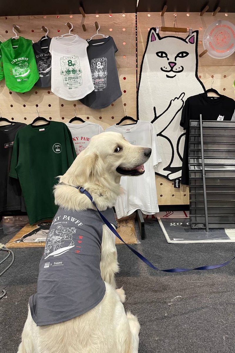 ZHD x PAWFF PET TEE