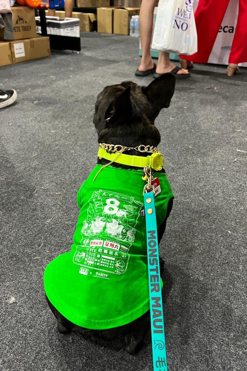 ZHD x PAWFF PET TEE