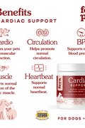 Cardiac Support for Dogs &amp; Cats