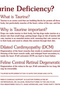 Cardiac Support for Dogs &amp; Cats