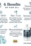 Fish Oil for Dogs &amp; Cats