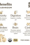 Organic Mushroom Blend for Immune Support