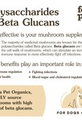 Organic Mushroom Blend for Immune Support