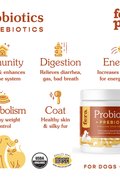 Organic Probiotics with Prebiotics for Dogs &amp; Cats