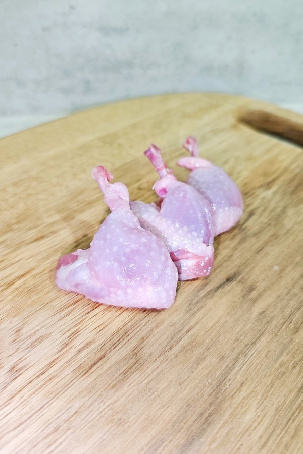 Australian Quail Tulips