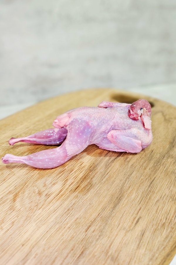 Australian Whole Quail