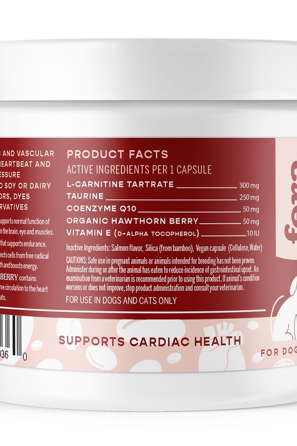 Cardiac Support for Dogs & Cats