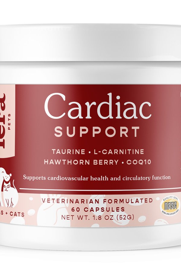 Cardiac Support for Dogs & Cats