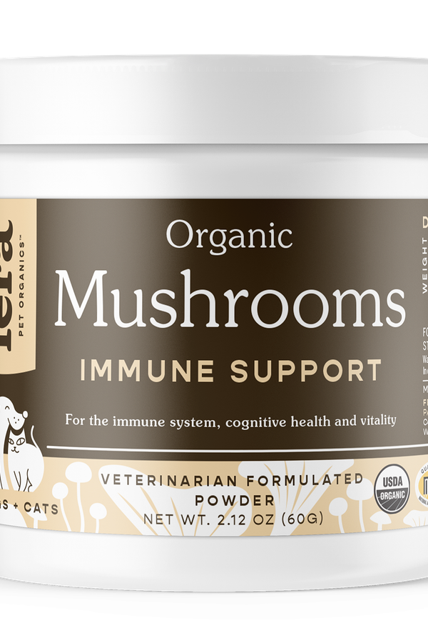 Organic Mushroom Blend for Immune Support
