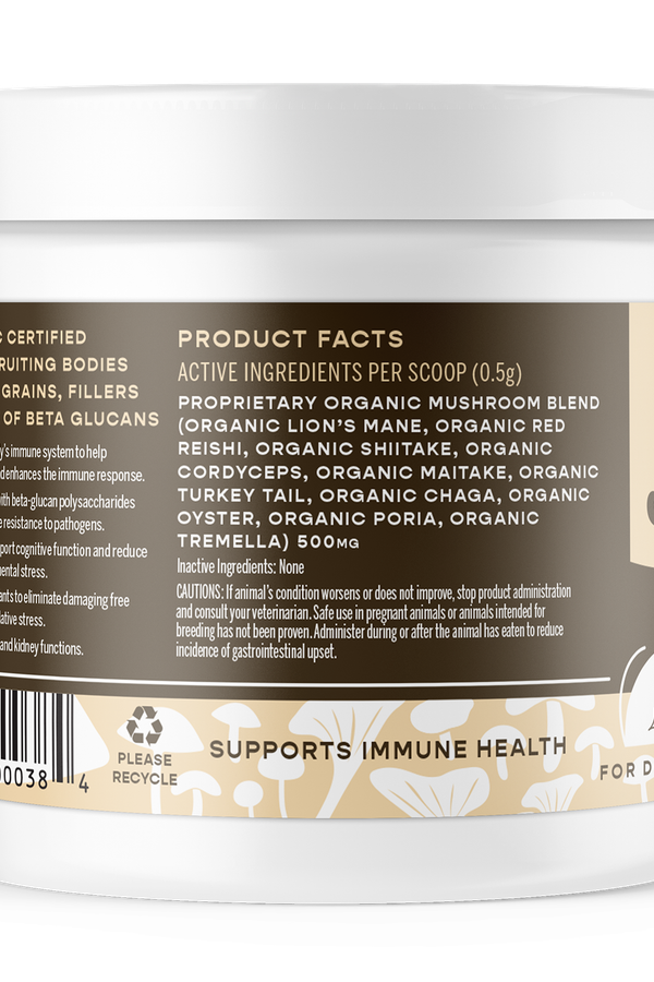 Organic Mushroom Blend for Immune Support