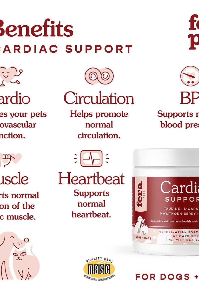 Cardiac Support for Dogs & Cats