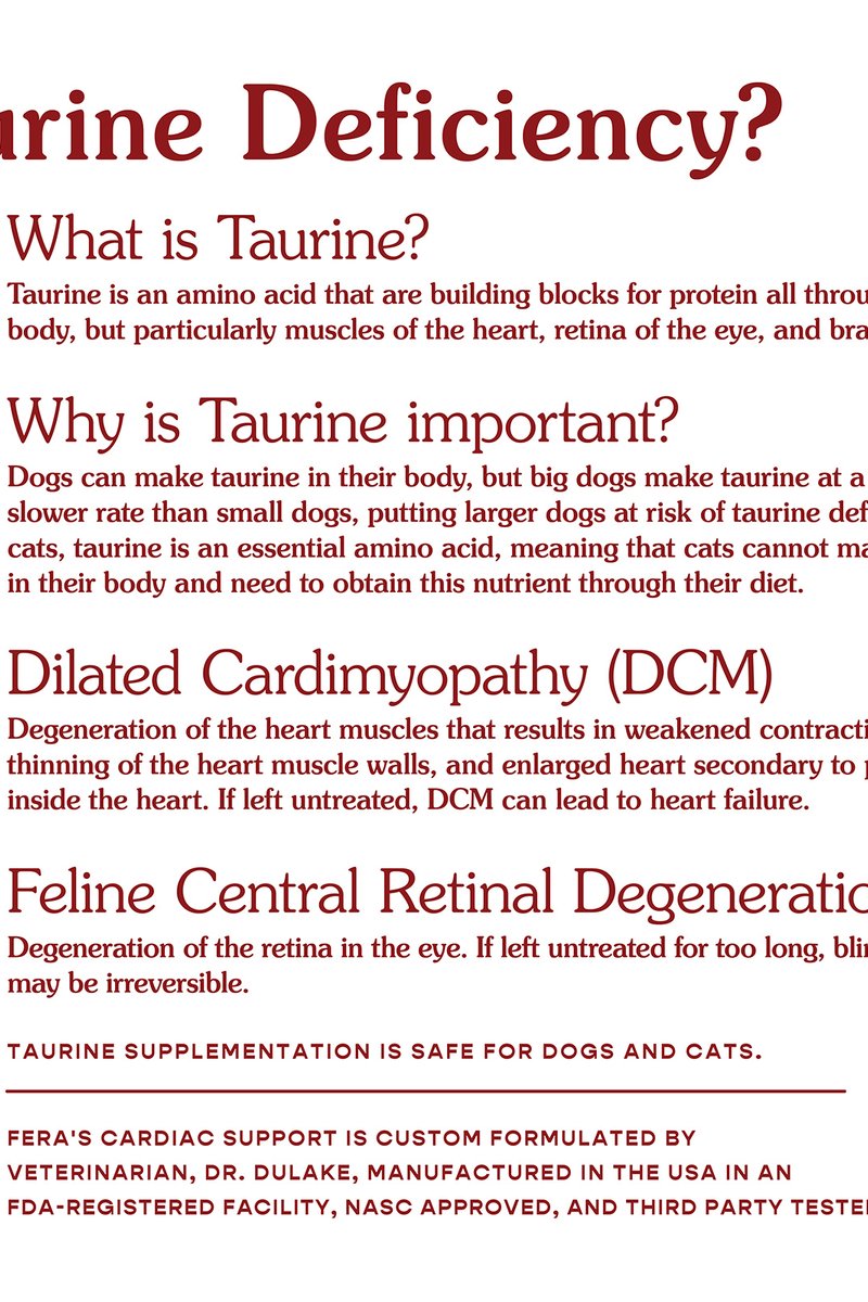 Cardiac Support for Dogs & Cats