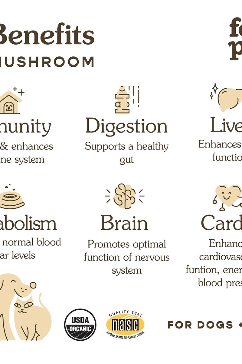 Organic Mushroom Blend for Immune Support
