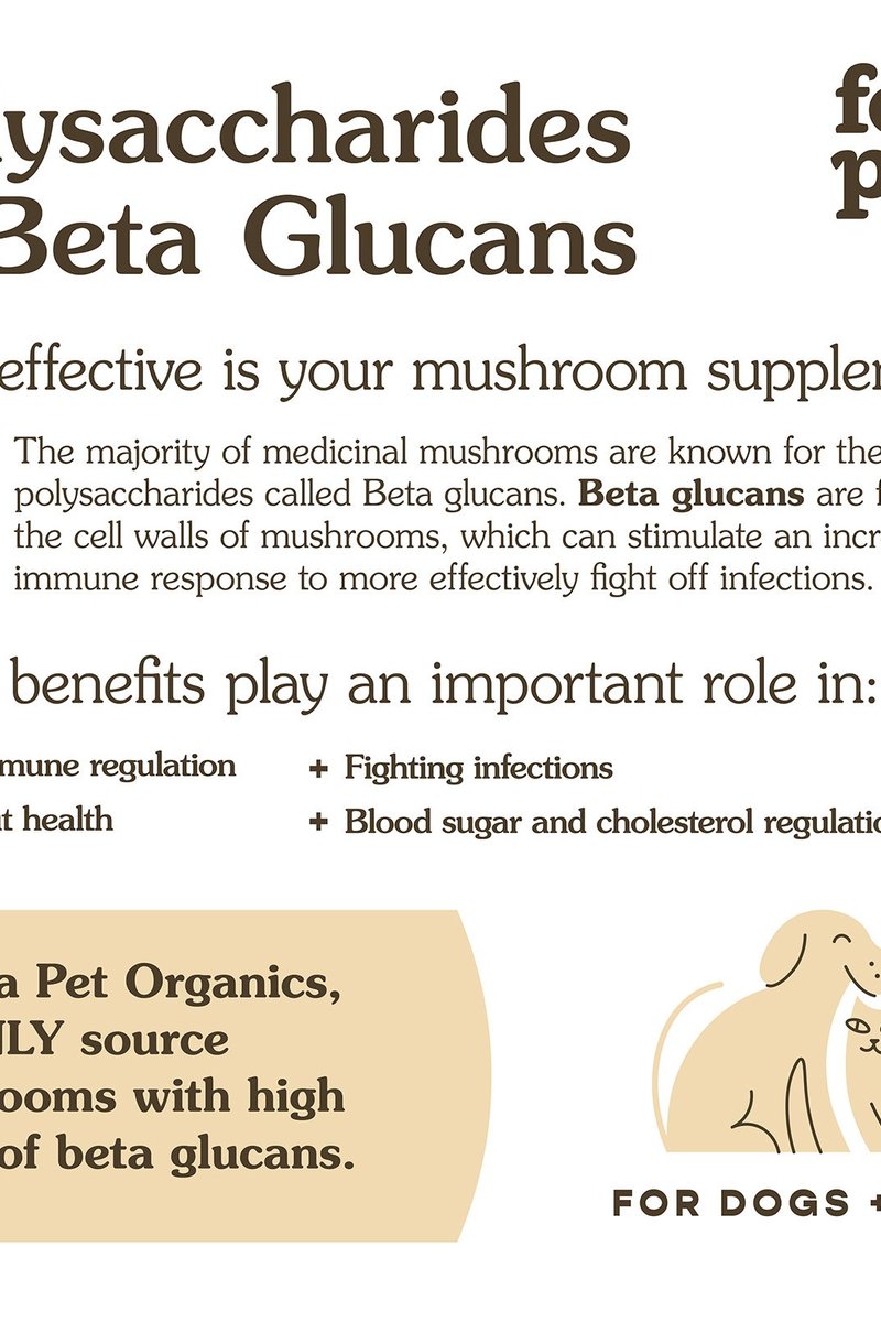 Organic Mushroom Blend for Immune Support