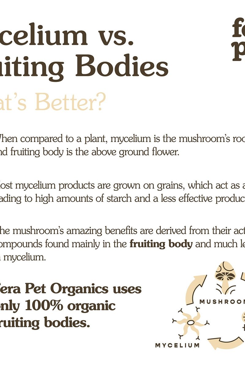 Organic Mushroom Blend for Immune Support
