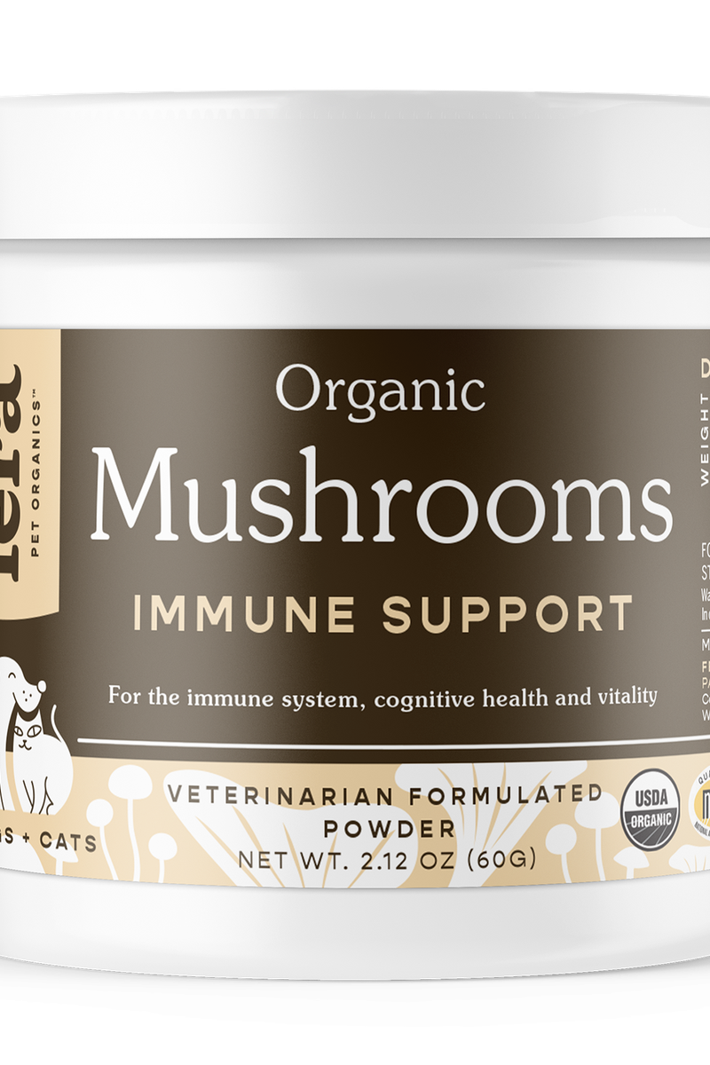 Organic Mushroom Blend for Immune Support