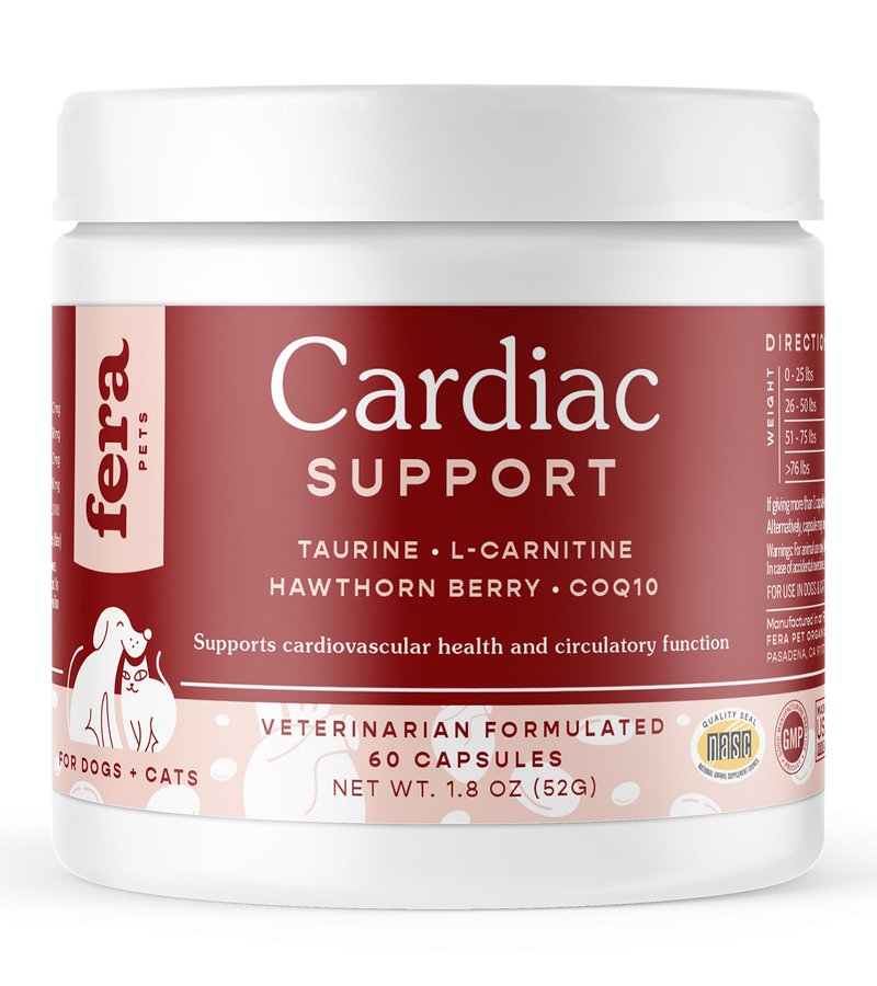 Cardiac Support for Dogs & Cats