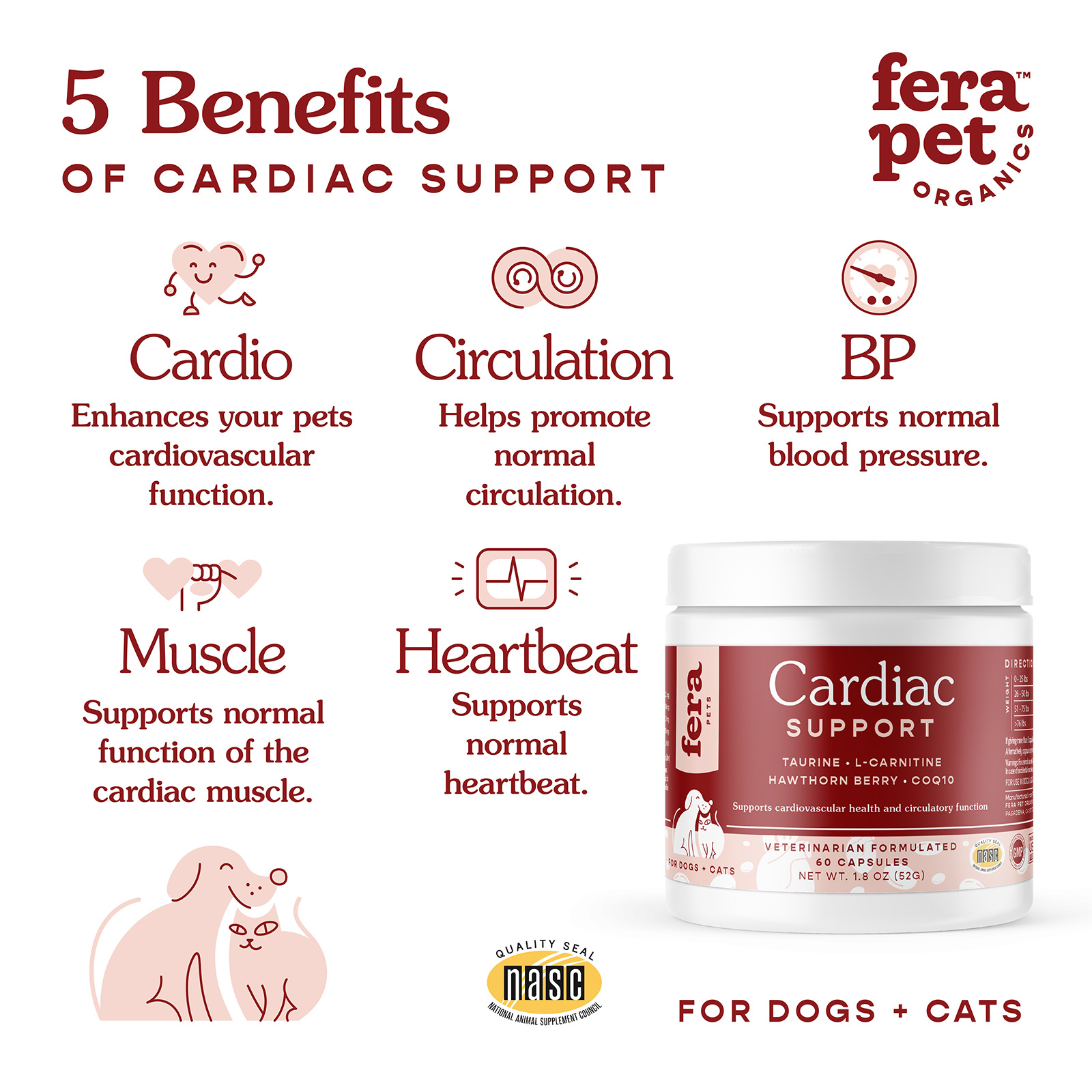 Cardiac Support for Dogs & Cats