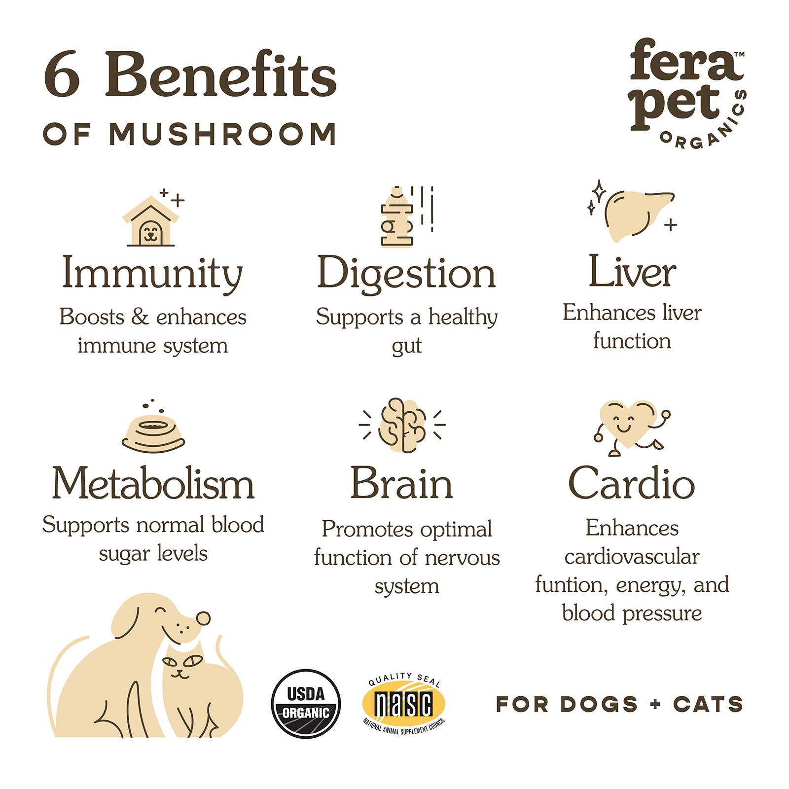 Organic Mushroom Blend for Immune Support