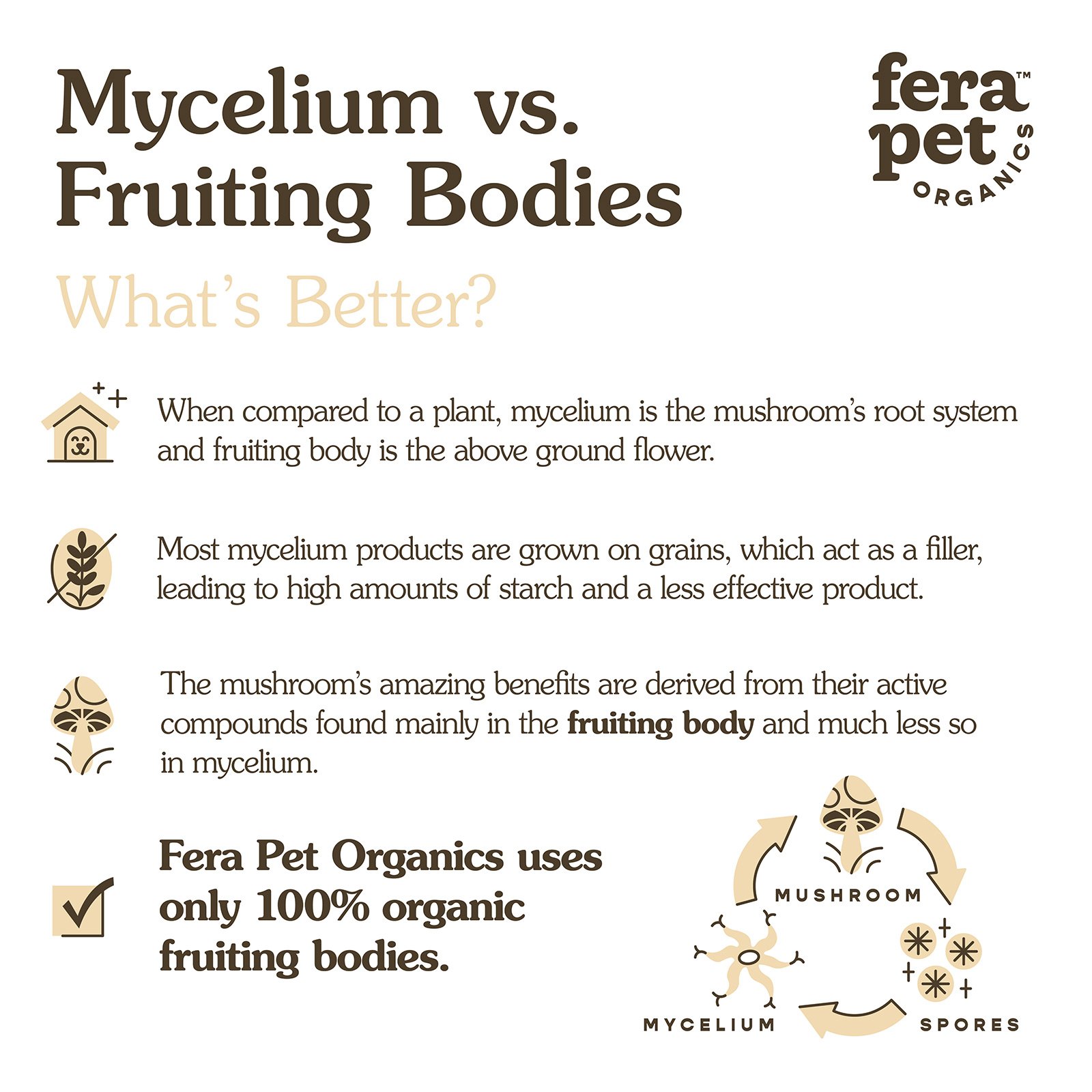 Organic Mushroom Blend for Immune Support