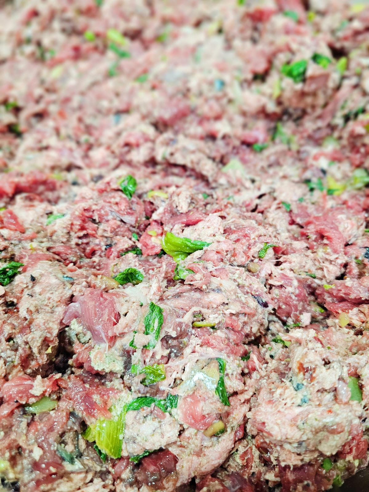 Beef & Mackerel BARF