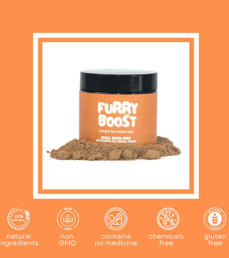 Furry Boost Supplement for Small Dogs