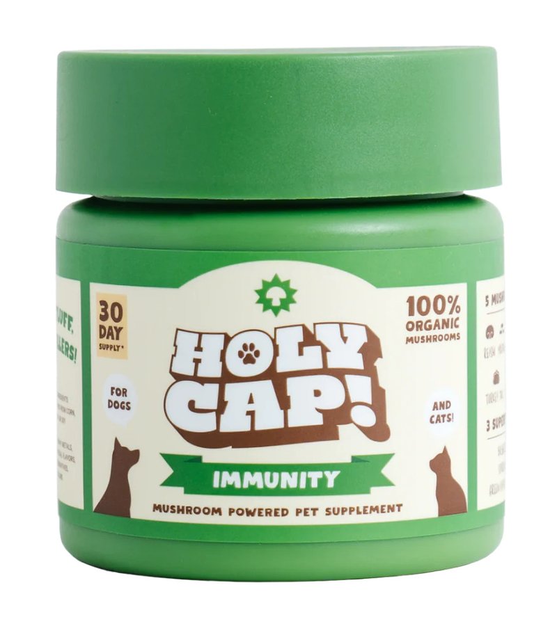 HOLY CAP - Immunity