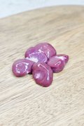 Rabbit Kidney