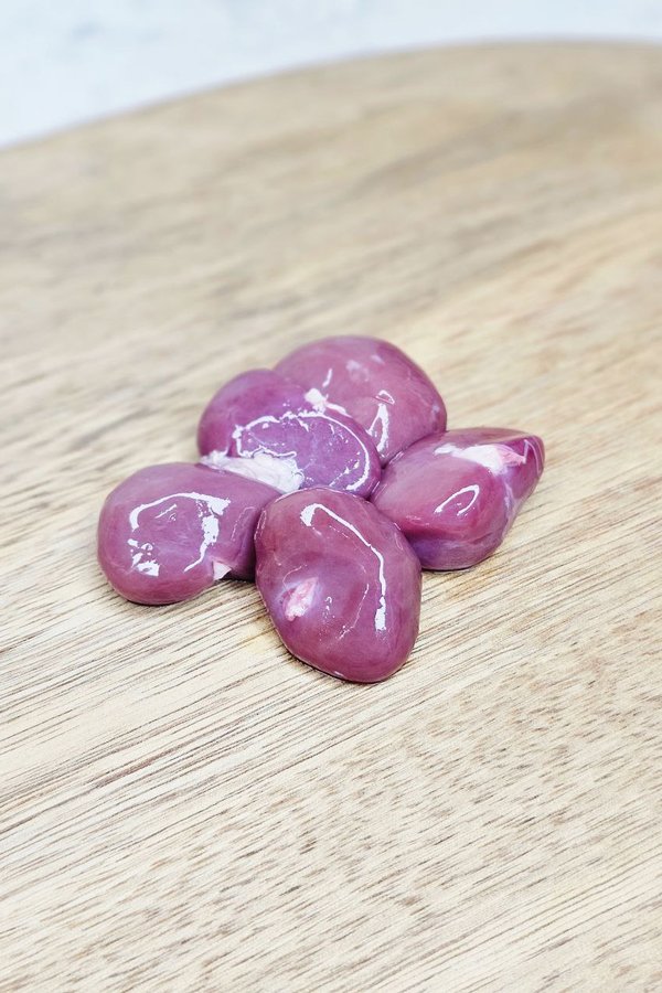 Rabbit Kidney