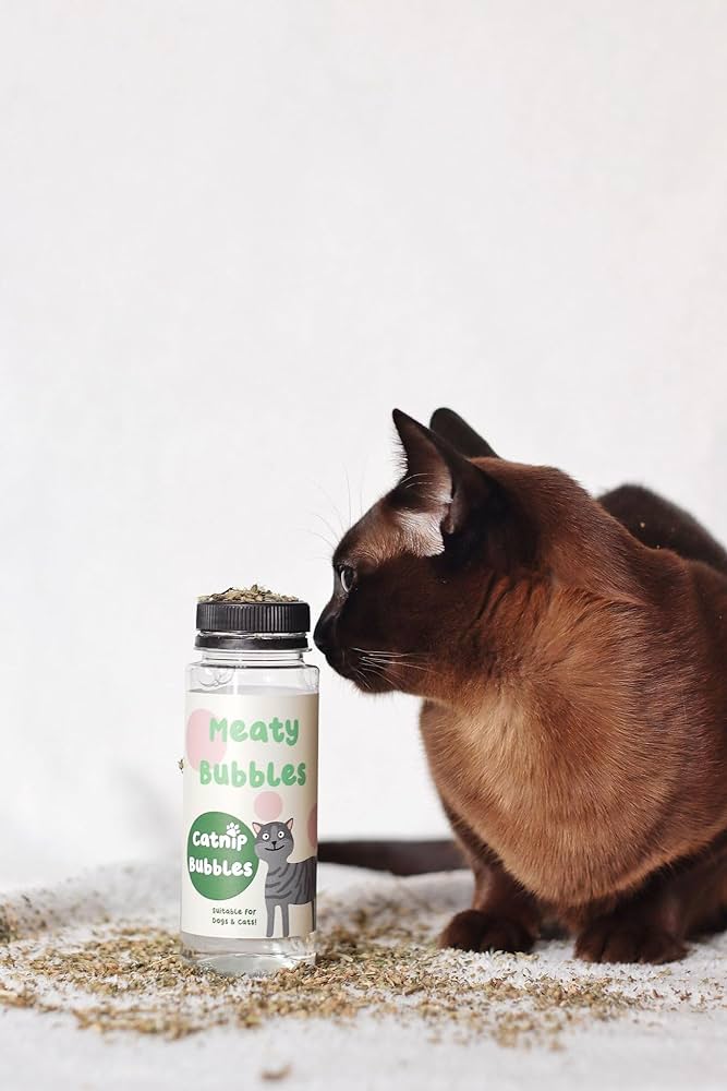 Catnip bubbles online for cats