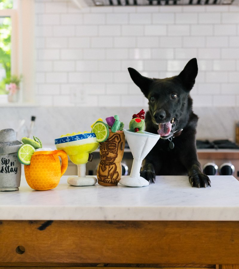 P.L.A.Y. Barktender Squeaky Plush Dog Toys