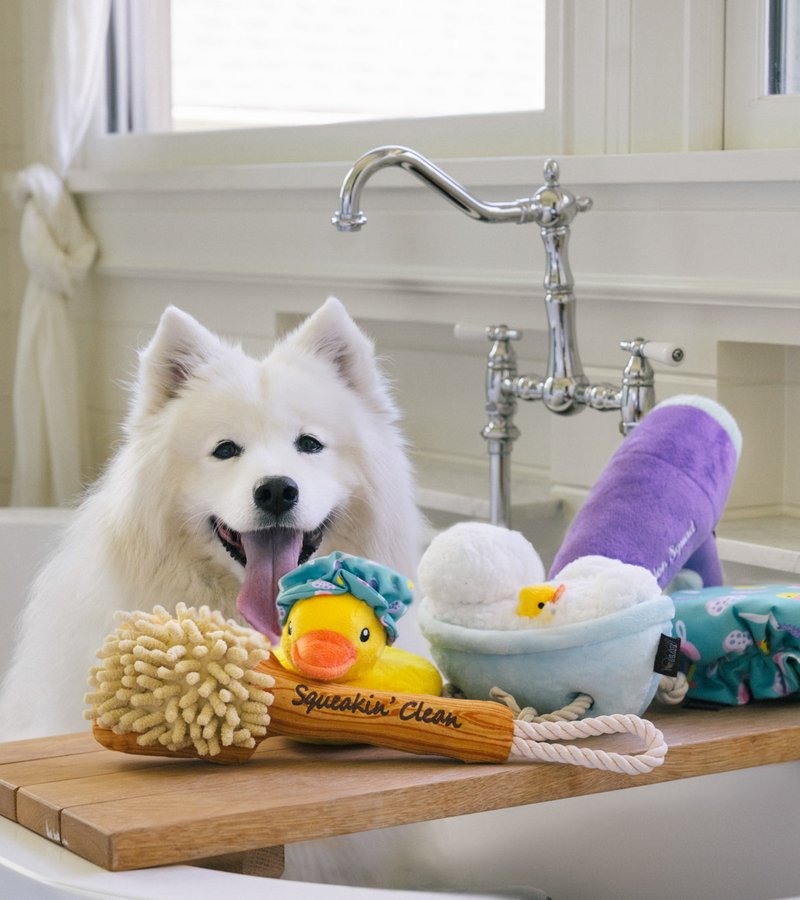  P.L.A.Y. Splish Splash Squeaky Plush Dog Toys