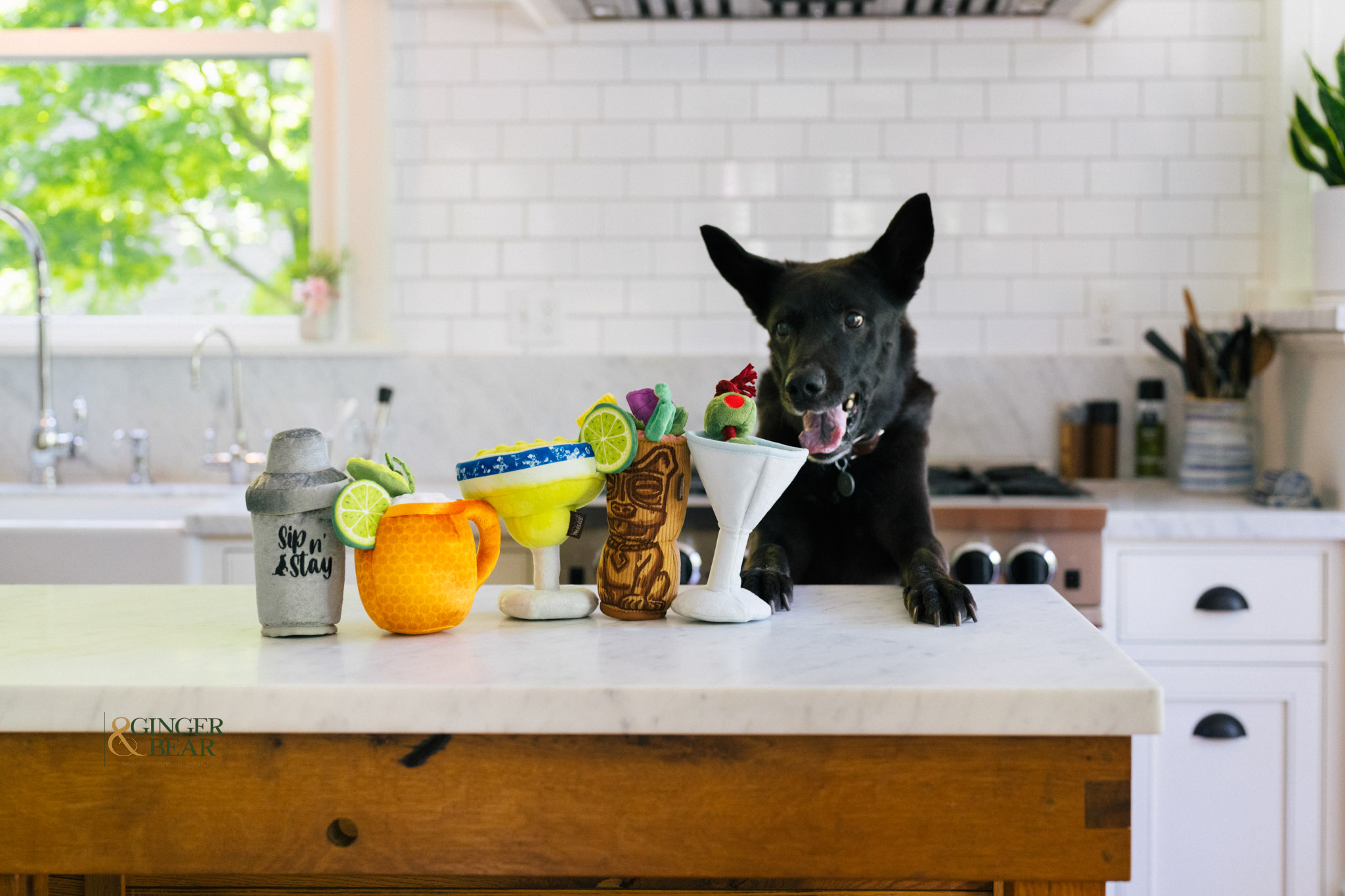 P.L.A.Y. Barktender Squeaky Plush Dog Toys