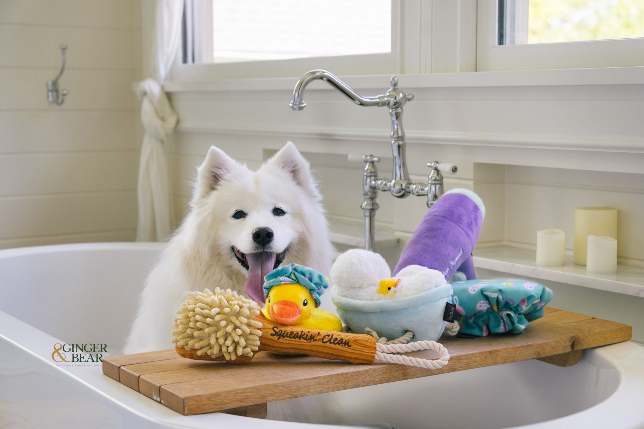  P.L.A.Y. Splish Splash Squeaky Plush Dog Toys