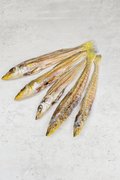 Smelt